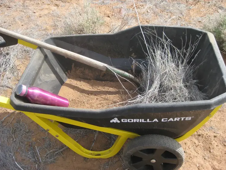 Straw for the planter