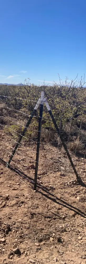 Braced corner t-posts