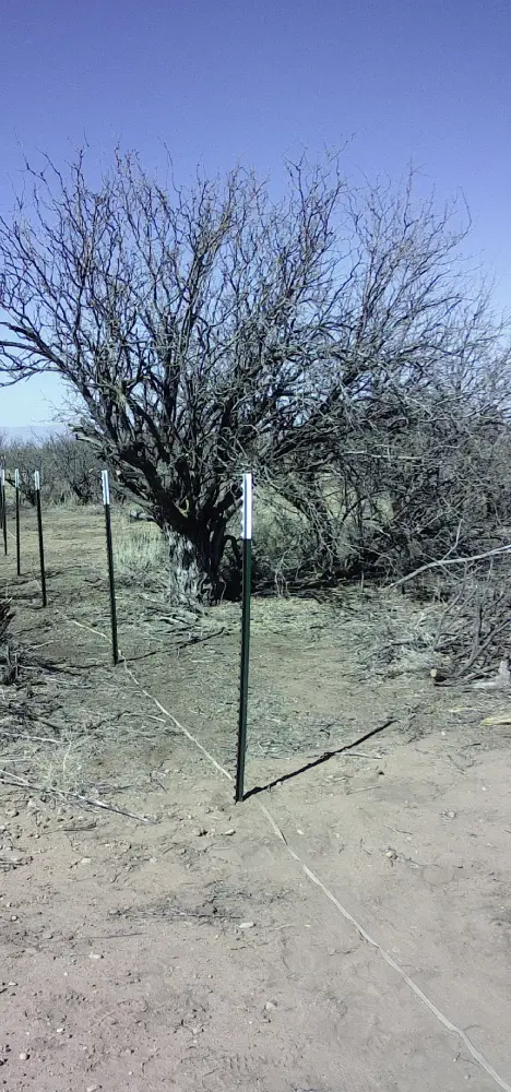 Guideline for t-posts