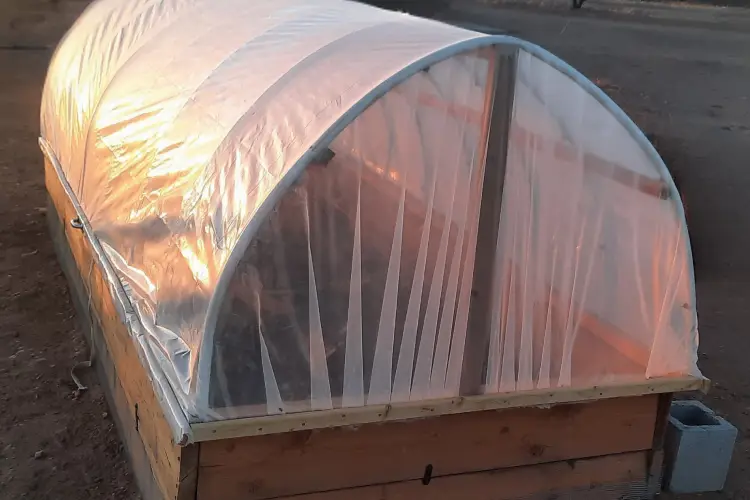 cleared and leveled area